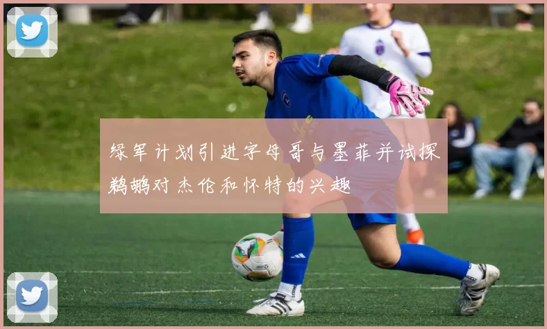 绿军计划引进字母哥与墨菲并试探鹈鹕对杰伦和怀特的兴趣